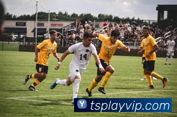 天顺娱乐官网平台生态图