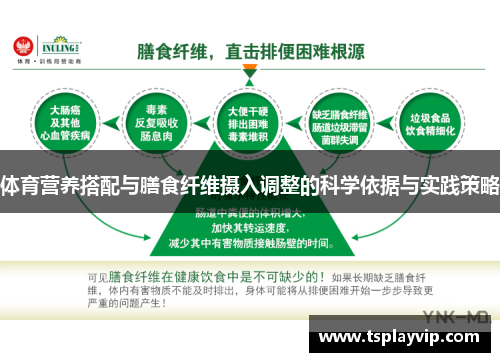 体育营养搭配与膳食纤维摄入调整的科学依据与实践策略