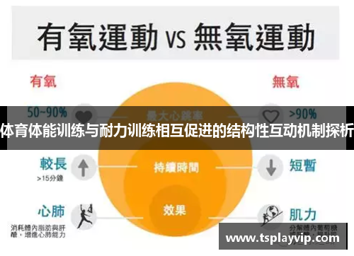 体育体能训练与耐力训练相互促进的结构性互动机制探析